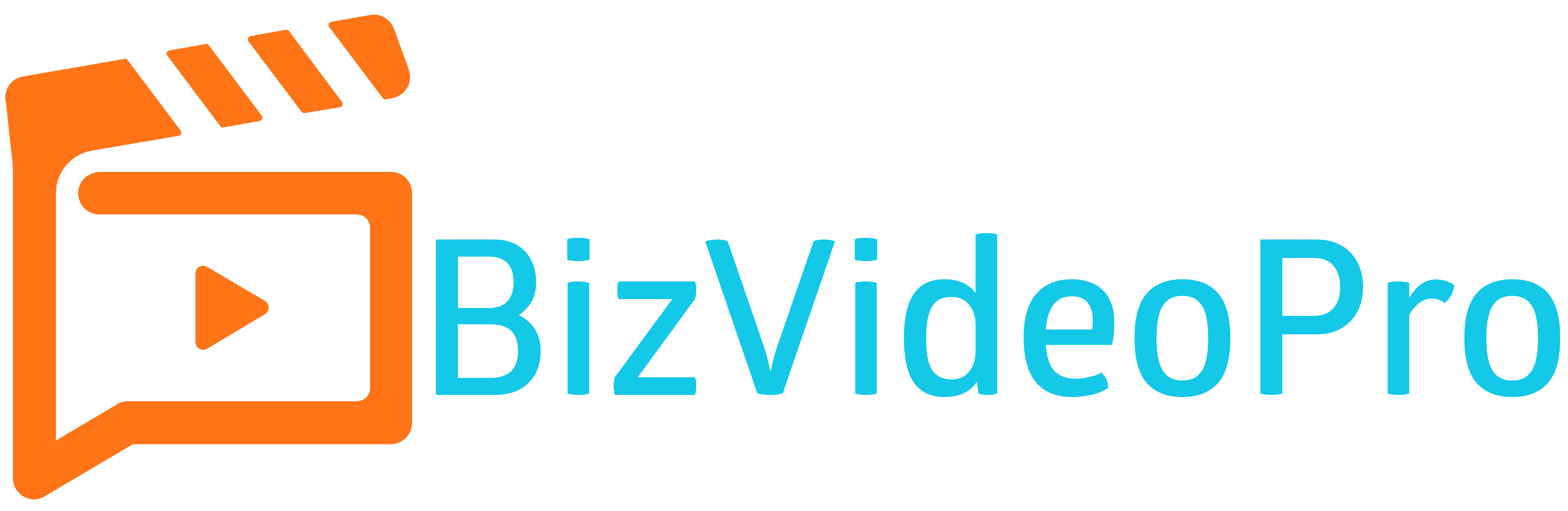 BizVideoPro